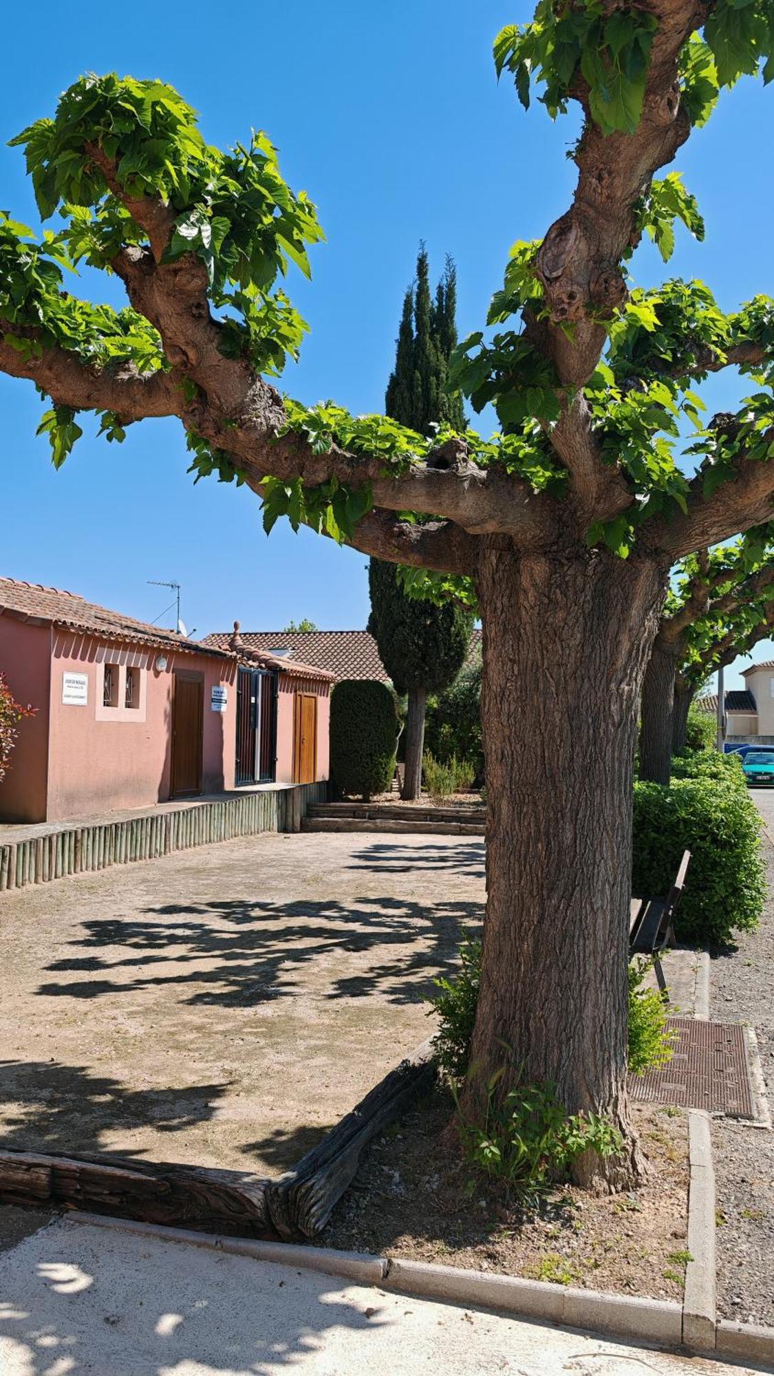 Le Mazet Sooksabai, Confort, Charme Et Decouverte En Petite Camargue Saint-Laurent-d'Aigouze Exterior photo